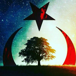 کلیپ و موزیک ترکیه