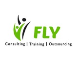 Fly consulting services