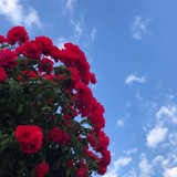غيث غيمة ⛈