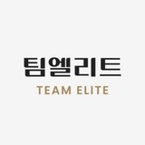 팀 엘리트