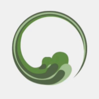 Ecocardiograma Wavesmed