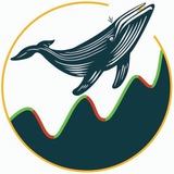 Mad Whale