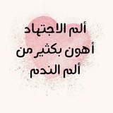تيم السجاجه2025