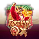 Grupo VIP | Fortune OX 🐗
