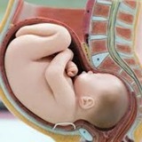 👩🔬 نساء وولادة 🤰
