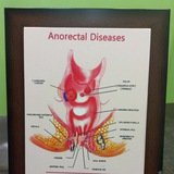 ALL INDIA AYURVEDIC SURGEONS