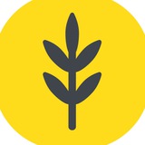 ПРОФКОМ ЮЖНОГО ФЕДЕРАЛЬНОГО УНИВЕРСИТЕТА