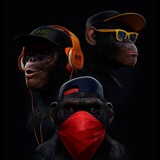 ОБОИ на РАБОЧИЙ СТОЛ 4K, FHD, 8K, WALLPAPERS