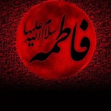 قناة الامام علي "ع"┆ 🕌
