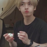 fourth minho's cat