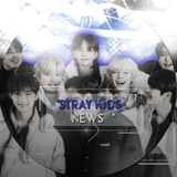 STRAY KIDS 🌿 одобряют!