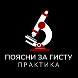 Поясни за гисту и мысли Эдгара