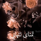 🍂 ◌ًٍ͜͡✮تمᬼᬼـَ۪ؔٛٚؔنای تنᬼᬼـَ۪ؔٛٚؔهᬼᬼـَ۪ؔٛٚؔایی✓♡ 🧿