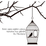 Kanatsız kuş