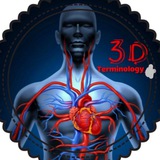 مصطلحات طبية | M_Terminology