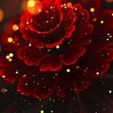 شـعـور يـكـتــب......... 🖤 ֆ₎
