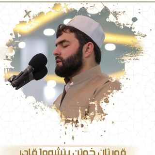 Peshawa Al Kurdi Mp3