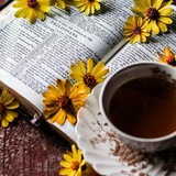📒 🌻 ARTE ENTRE LETRAS <i class="emoji" style="backgroun