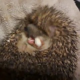 Картинка канала