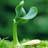 🌱İslamda Uşaq Tərbiyəsi🌱