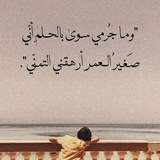 لا شيء.
