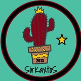 Sirkaxtos international
