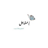 Butterfly.