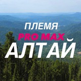 chekvik
