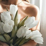 🌷 𝐹𝑟𝑎𝑠𝑒𝑠 𝑌𝑎𝑙𝑖 ✨
