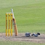 TOSS MATCH CRICKET FIXING