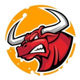 🔥 Bullrunz Free Trades 🔥