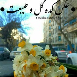 عکس کده گل و طبیعت