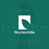 نيوكليوتيدة_Nucleotide