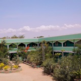 👨🎓Al Markaz Al Islam School Dire Dawa👩🎓