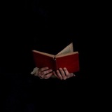 شِعر فصيح.
