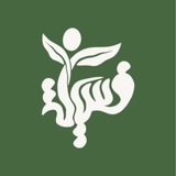 فريق فسيلة | 🌱