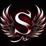 Yaser_sayrus