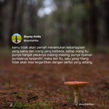 Quotes Dakwah