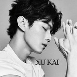 .Xu Kai MANIA.