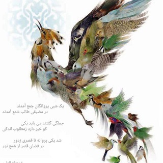 🌷🌷🌷شعر و عسل پارسی🌷🌷🌷