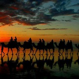 ابوذيات