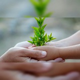 🍃 رشد سالم | Healthy Growth