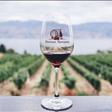 Винная Ярмарка 🍷