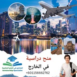 📚 المختص في المنح الدراسية 🎓