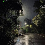 الـغَـيْـث.