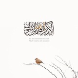 رسائِل ربّانيّة | 🍃 💛