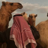 أبيات شعرية نبطية