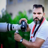 صفاء السيلاوي