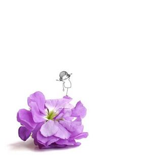 أ/ ندى الزهراني صف ١/١💜 👧🏻