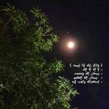 شَجَرَةُ الذّڪْرْ 🌳